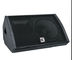 Professional Black Passive / Active Stage Monitors With 15 Inch Titanium Driver supplier