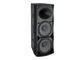 Dual 15 Inch Full Range Speaker Box Stadium Live Band  Dj Sonido CE supplier