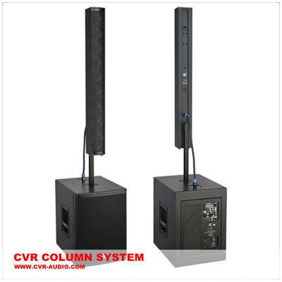 Single 10 Inch Active Line Array Speaker System Birch Plywood supplier