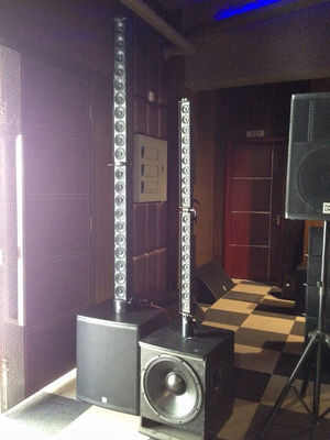 Waterproof Bluetooth Column Array Speakers Neodymium 2-channel Output supplier