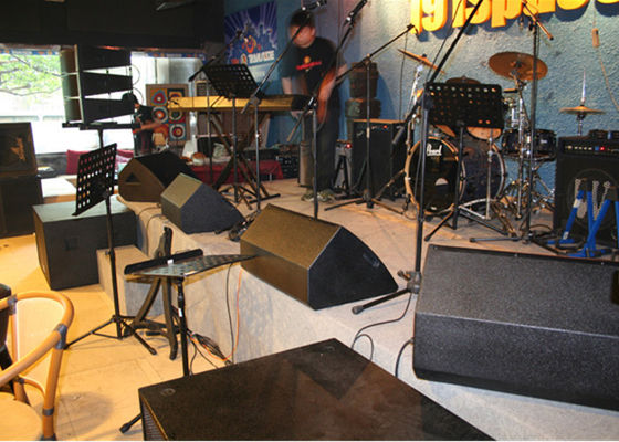 Coaxial Stage Monitor Speakers System 10 Inch 2 Way Audio System Outdoor Loudspeaker supplier