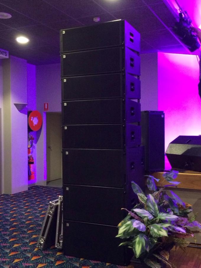 Self Powered Speaker System PA Cabinet Audio Line Array Loudspeakers