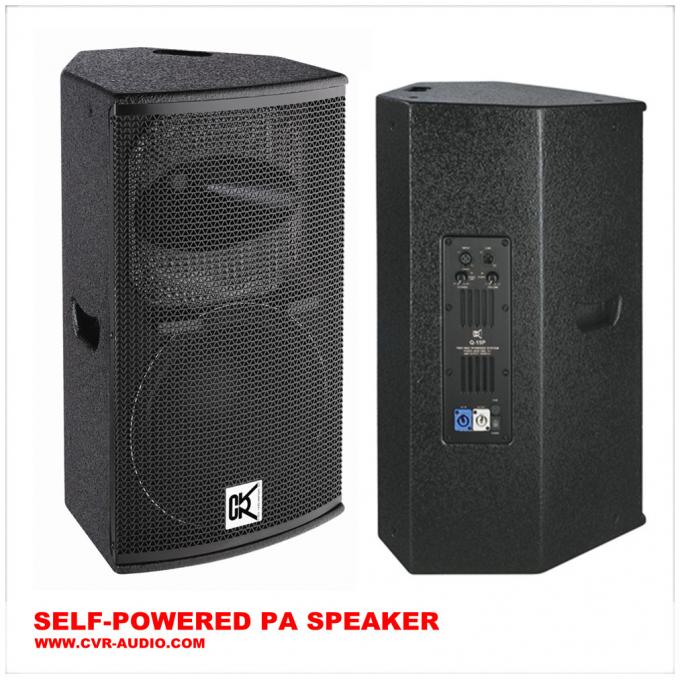 Professional Indoor Home Music Pro Audio Sound System 15 Inch